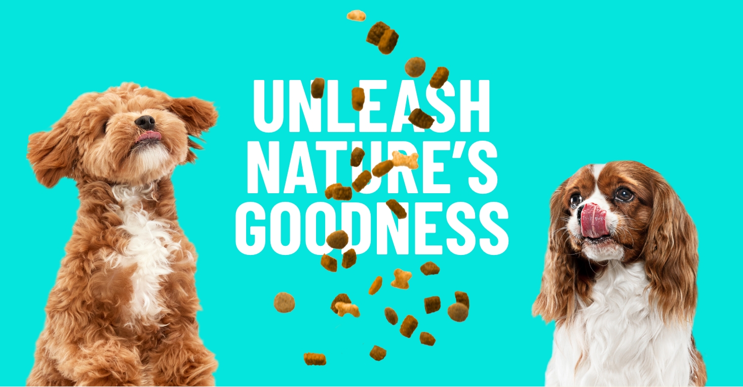 Better Natural Treats